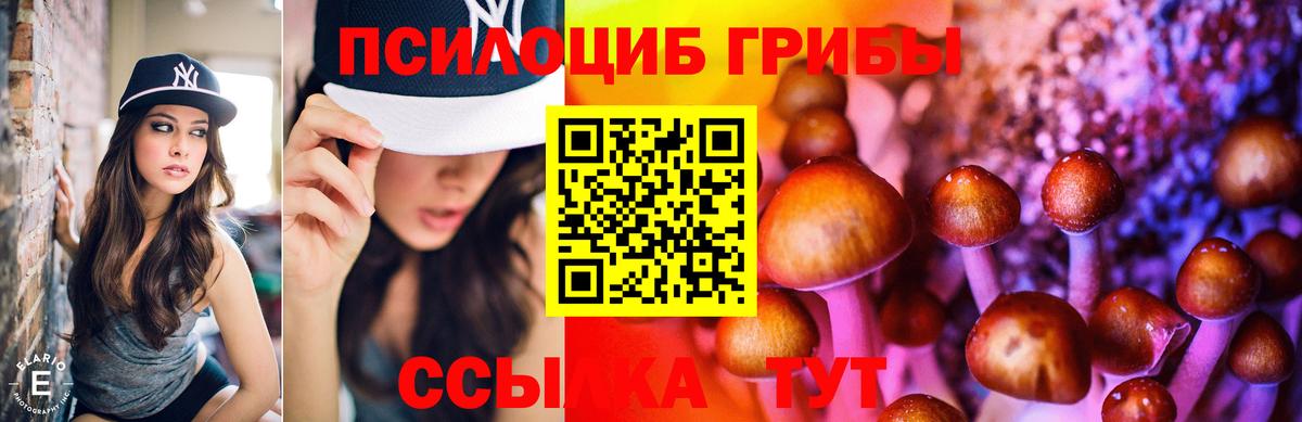 Галлюциногенные грибы Psilocybine cubensis  Галлюциногенные грибы MAGIC MUSHROOMS  Вход с VPN  Горно-Алтайск 